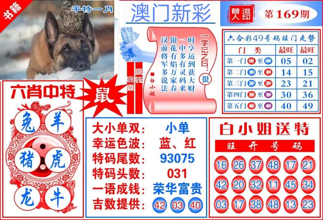 天线宝宝……